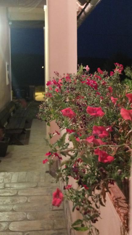 Country House Baranjski Tulipan Draz Luaran gambar