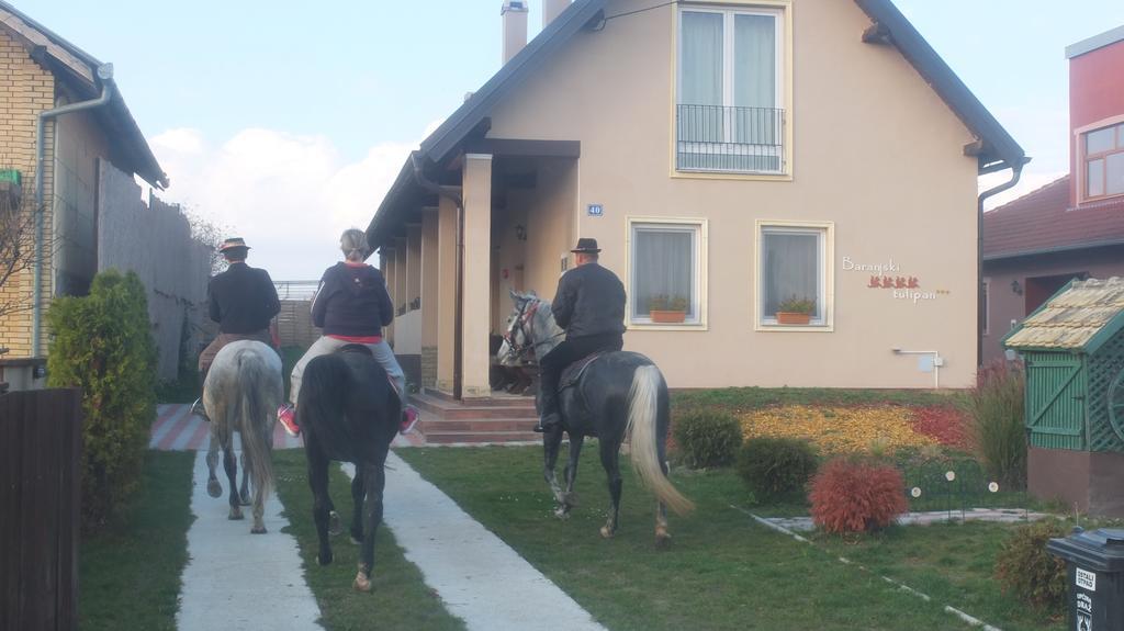Country House Baranjski Tulipan Draz Luaran gambar